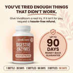 Daily Digestive Enzymes
