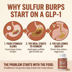 Daily Digestive Enzymes